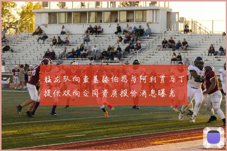 猛龙队向查基赫伯恩与阿利贾马丁提供双向合同资质报价消息曝光