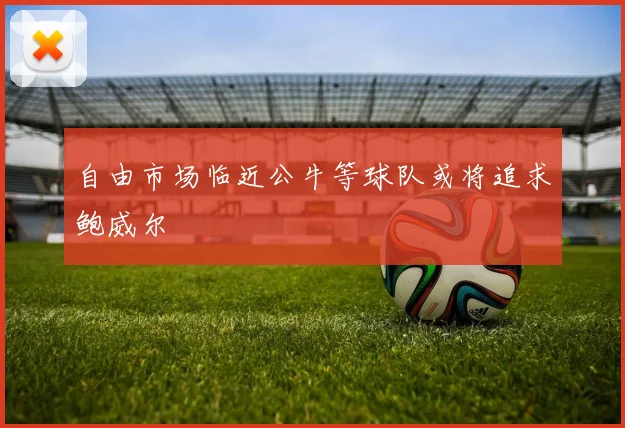 自由市场临近公牛等球队或将追求鲍威尔